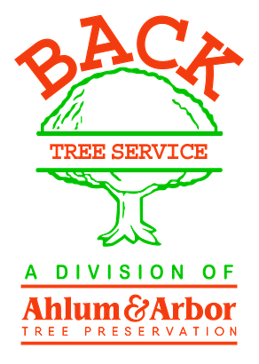 Back Tree Service